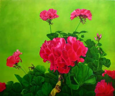 Geraniums